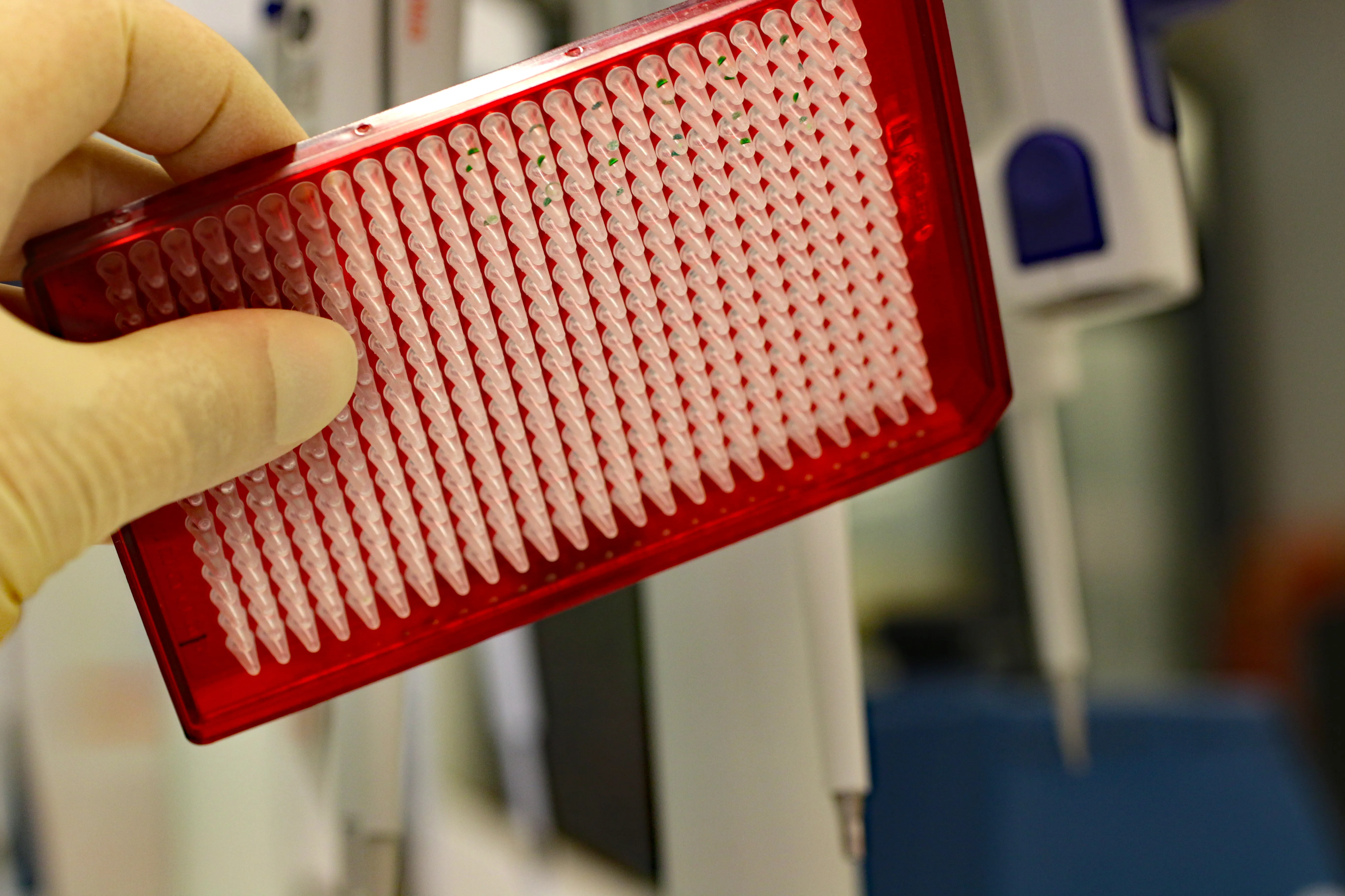 Bursa Makineli Petek Temizliği ve Kombi Bakımı